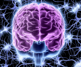 Image of a brain and many neurons firing up information.