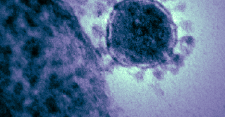 autoimmune stem cell care