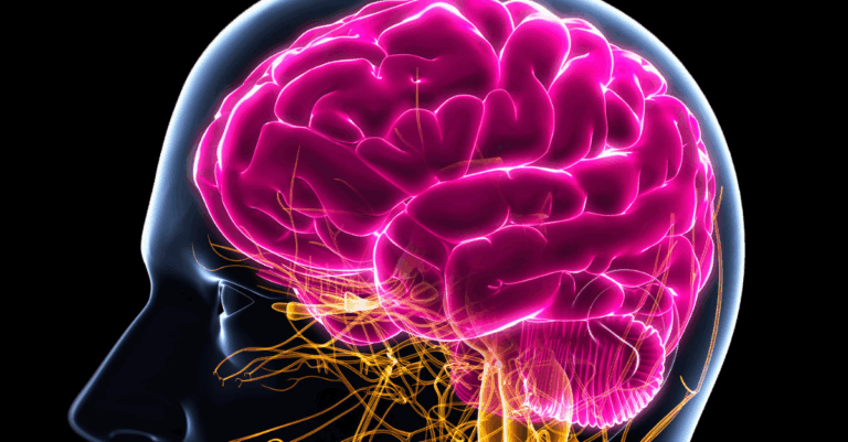 Neuro stem cell care PCT