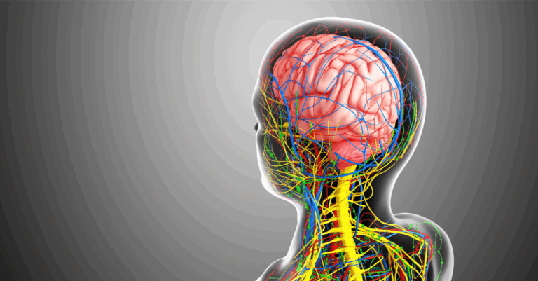 neuro stem cell care
