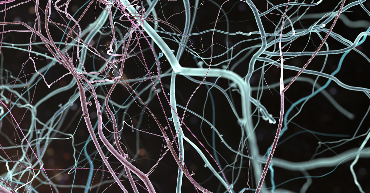 neuro support PCT