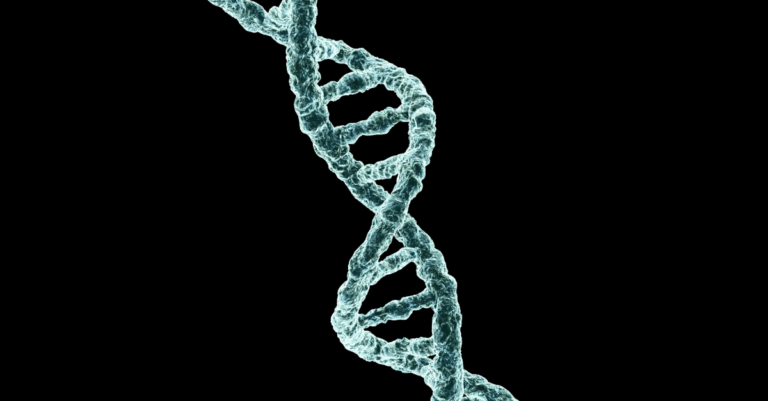 stem cell wonders
