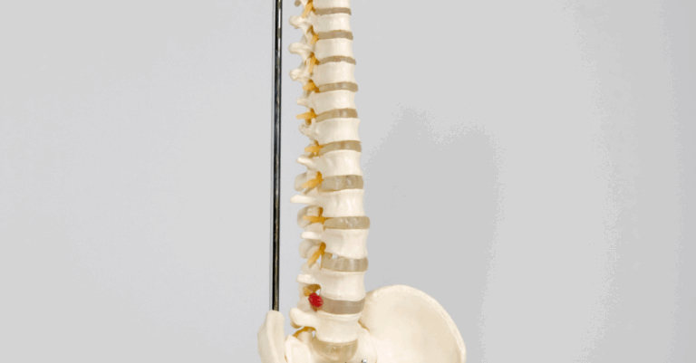 back and spine health stem cells