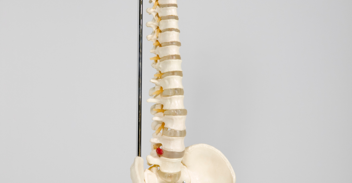 back and spine health stem cells