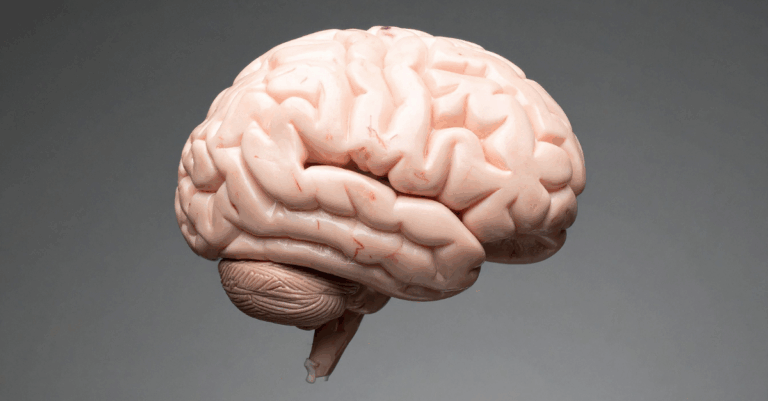 neuro stem cell advancements