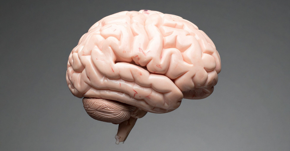 neuro stem cell advancements