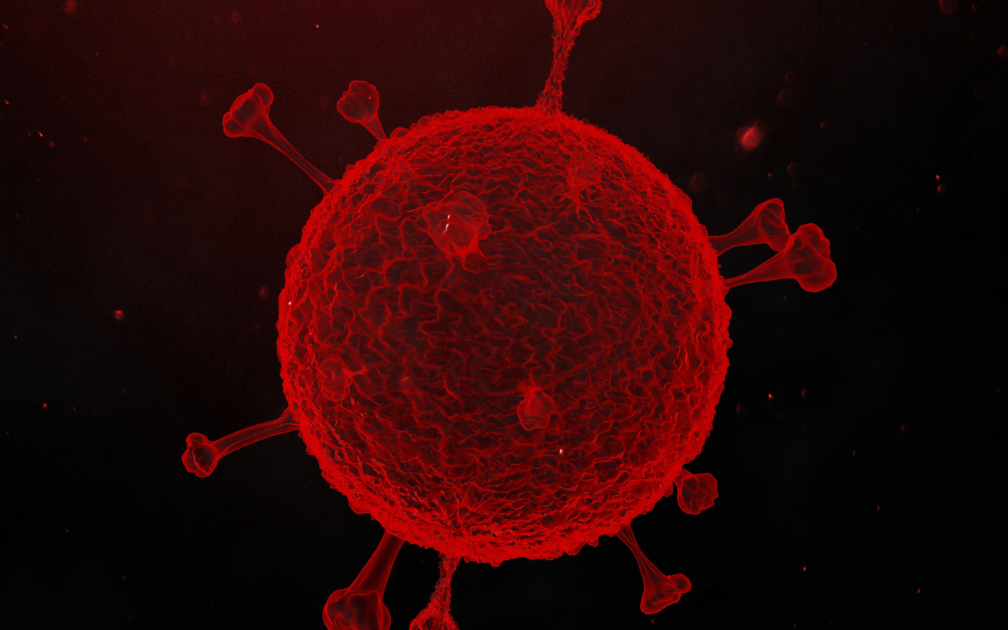 autoimmune care and relief PCT