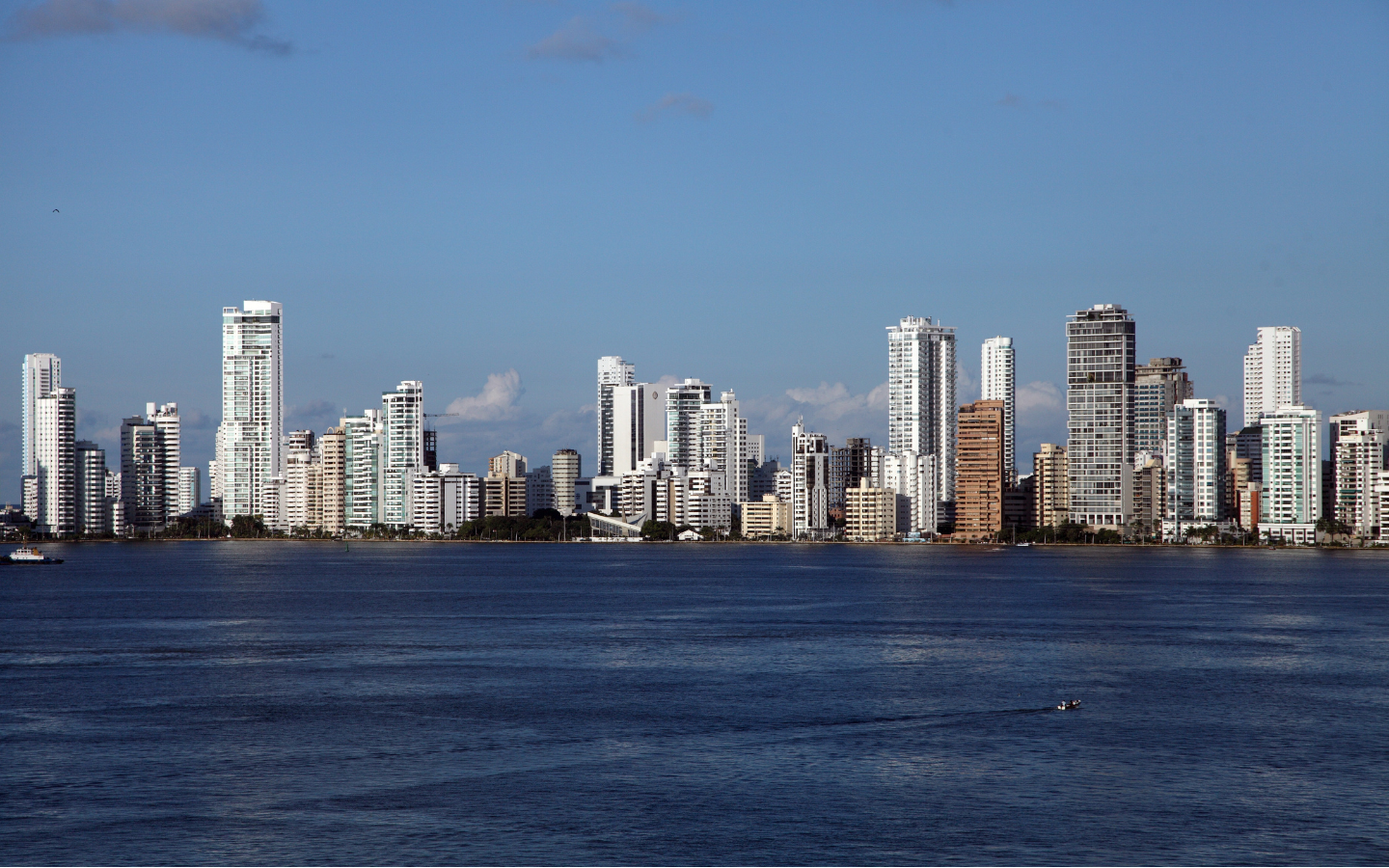 panama mesenchymal stem cells support at PCT