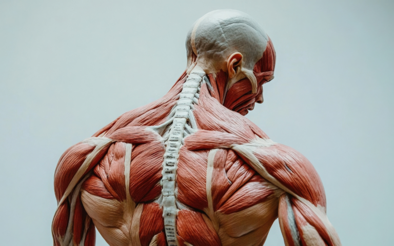 back pain resolution with stem cells