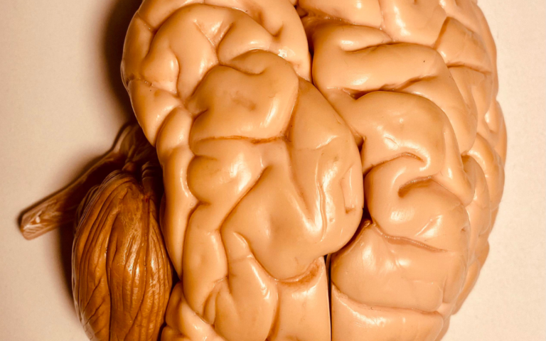 neuro support and care