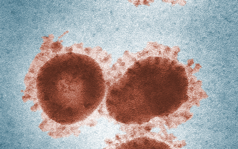 autoimmune and stem cells at PCT