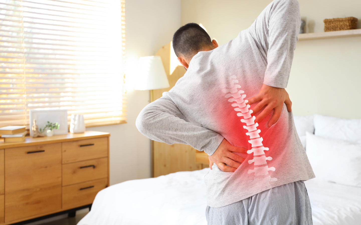 back issue resolution and complete support at PCT Panama